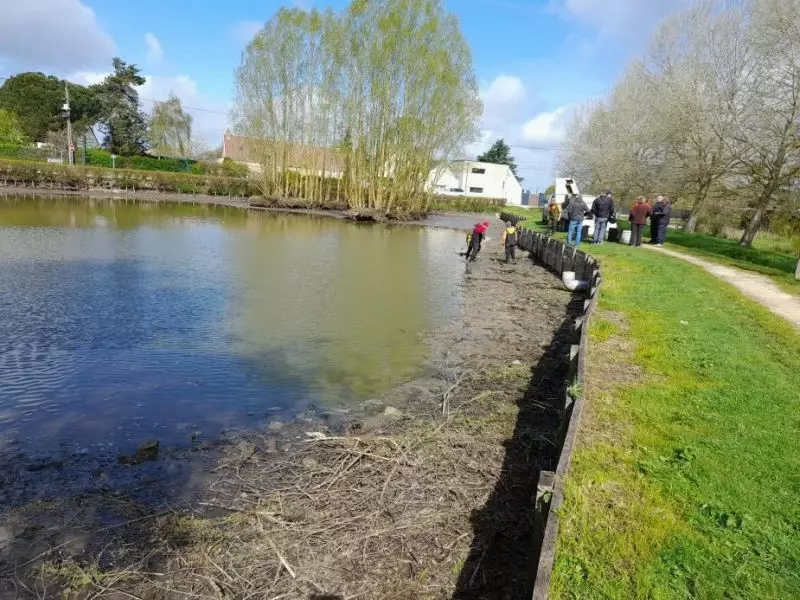 Retrait des poissons en prévision des travaux sur les berges du Grand Marchais